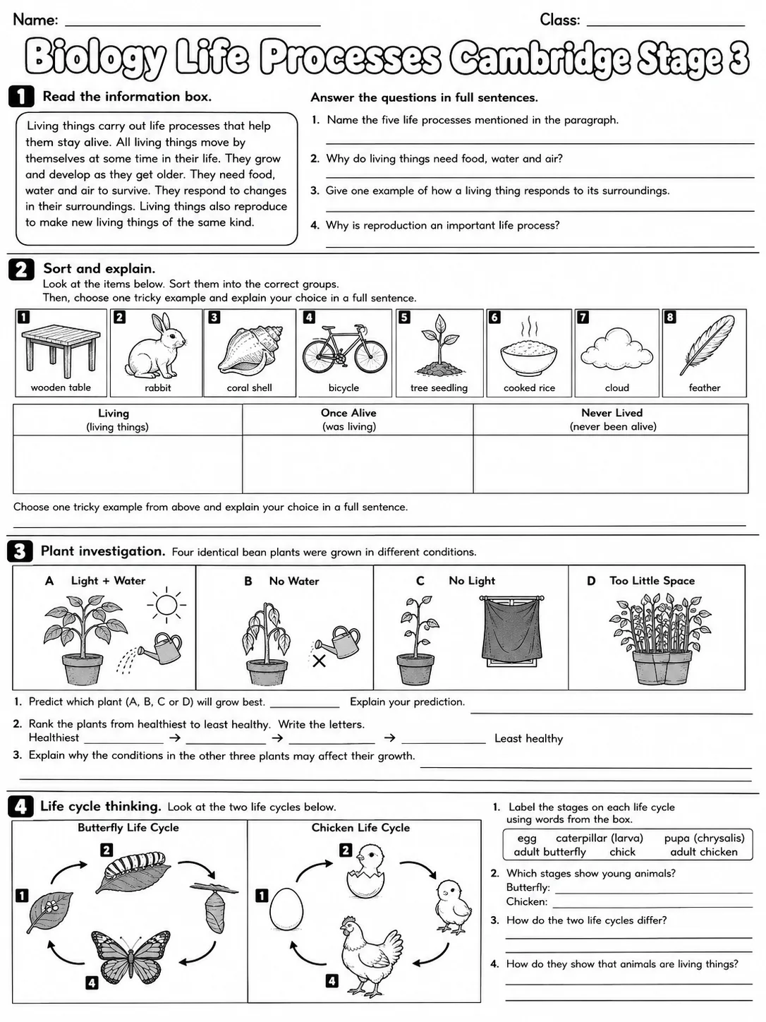 Biology Life Processes Cambridge Stage 3 page 7 printable Cambridge science worksheet preview