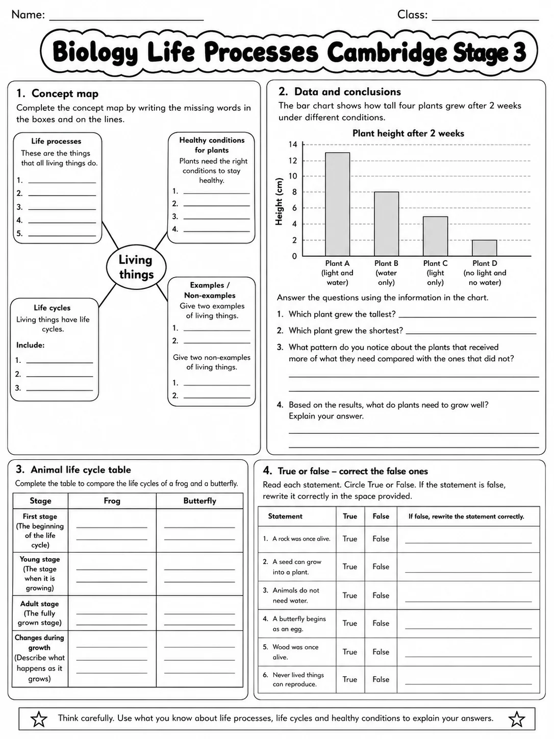 Biology Life Processes Cambridge Stage 3 page 8 printable Cambridge science worksheet preview