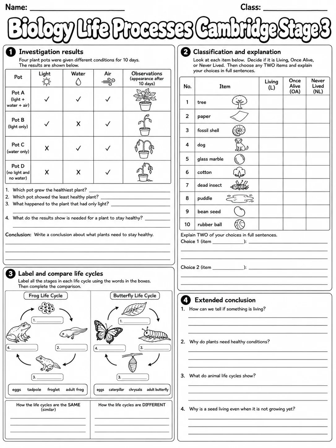 Biology Life Processes Cambridge Stage 3 page 10 printable Cambridge science worksheet preview