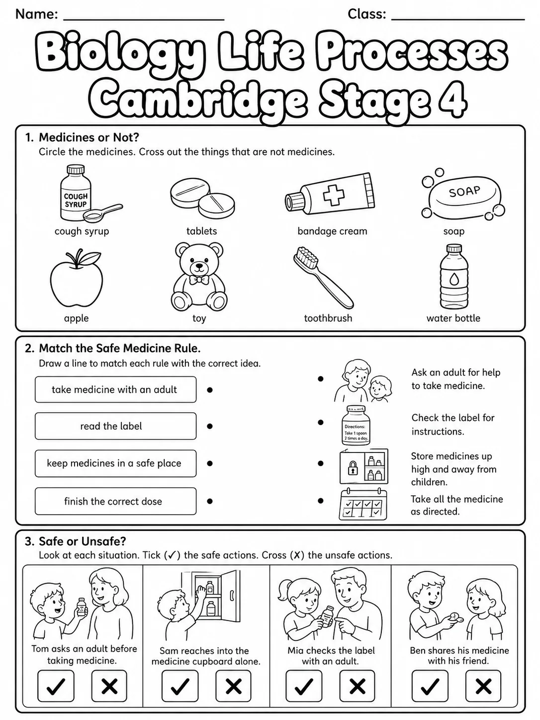 Biology Life Processes Cambridge Stage 4 printable Cambridge Primary Science Stage 4 worksheet preview from KiwiBee