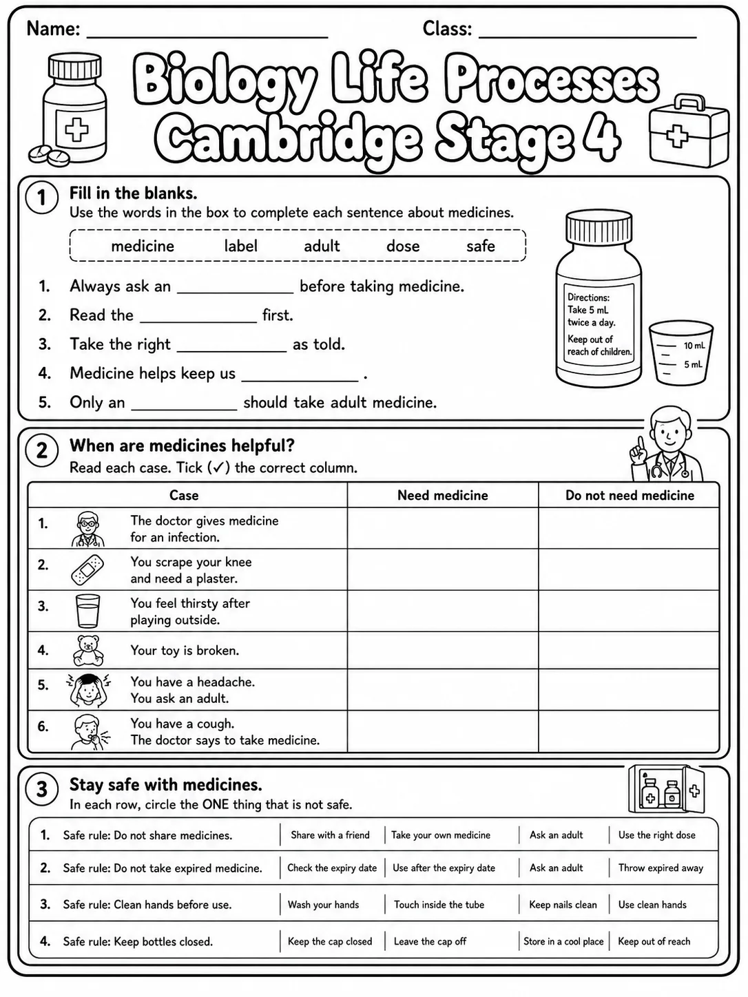 Biology Life Processes Cambridge Stage 4 page 2 printable Cambridge science worksheet preview