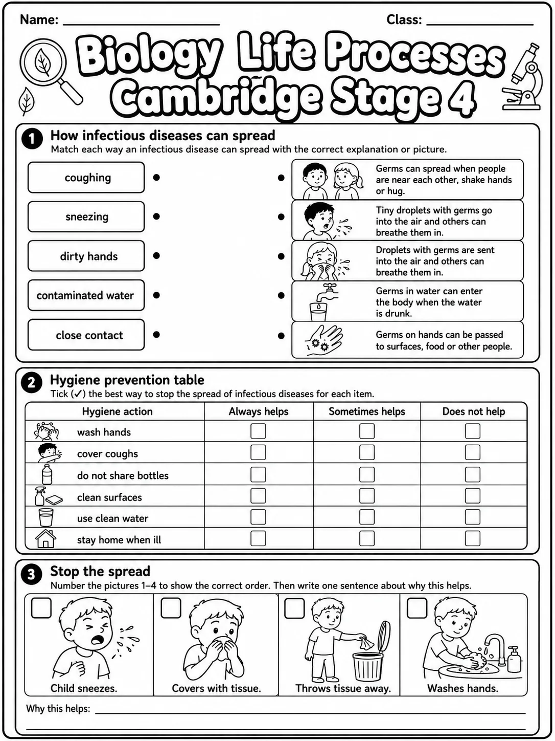 Biology Life Processes Cambridge Stage 4 page 3 printable Cambridge science worksheet preview