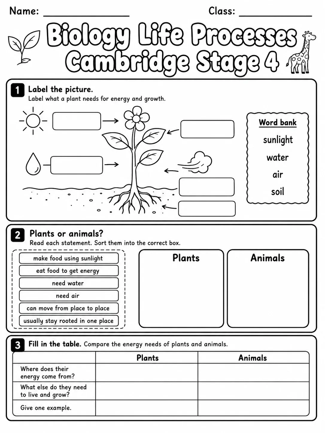 Biology Life Processes Cambridge Stage 4 page 5 printable Cambridge science worksheet preview
