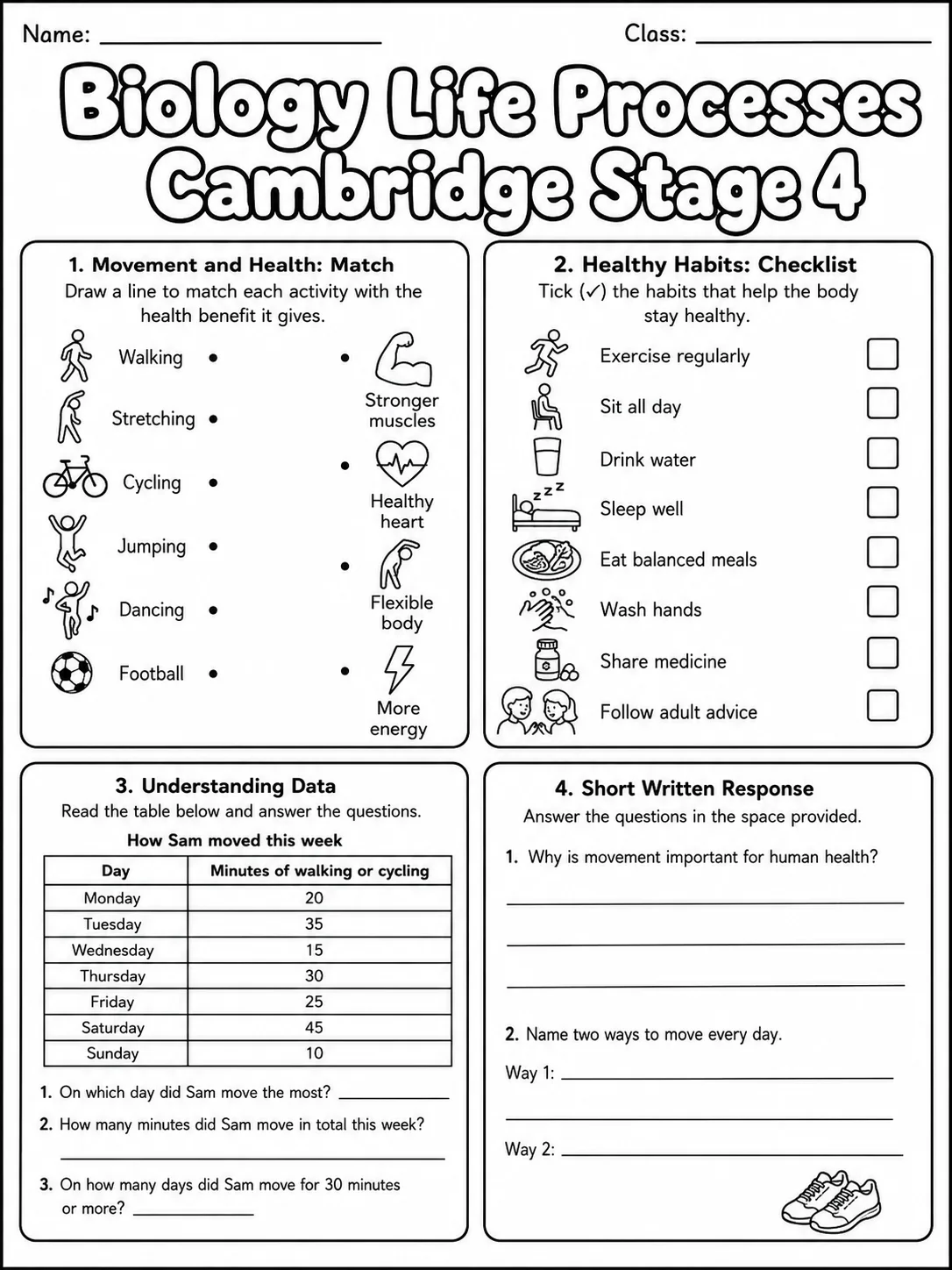 Biology Life Processes Cambridge Stage 4 page 6 printable Cambridge science worksheet preview