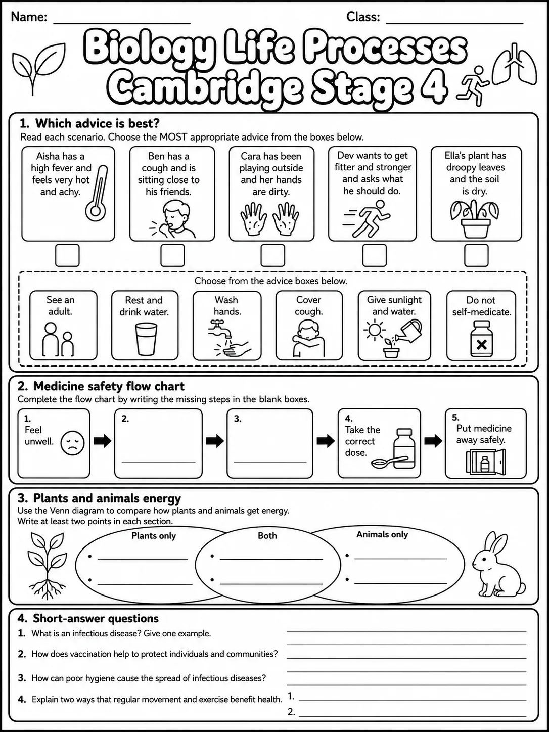 Biology Life Processes Cambridge Stage 4 page 7 printable Cambridge science worksheet preview