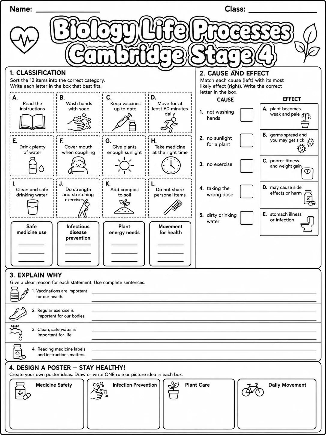 Biology Life Processes Cambridge Stage 4 page 9 printable Cambridge science worksheet preview