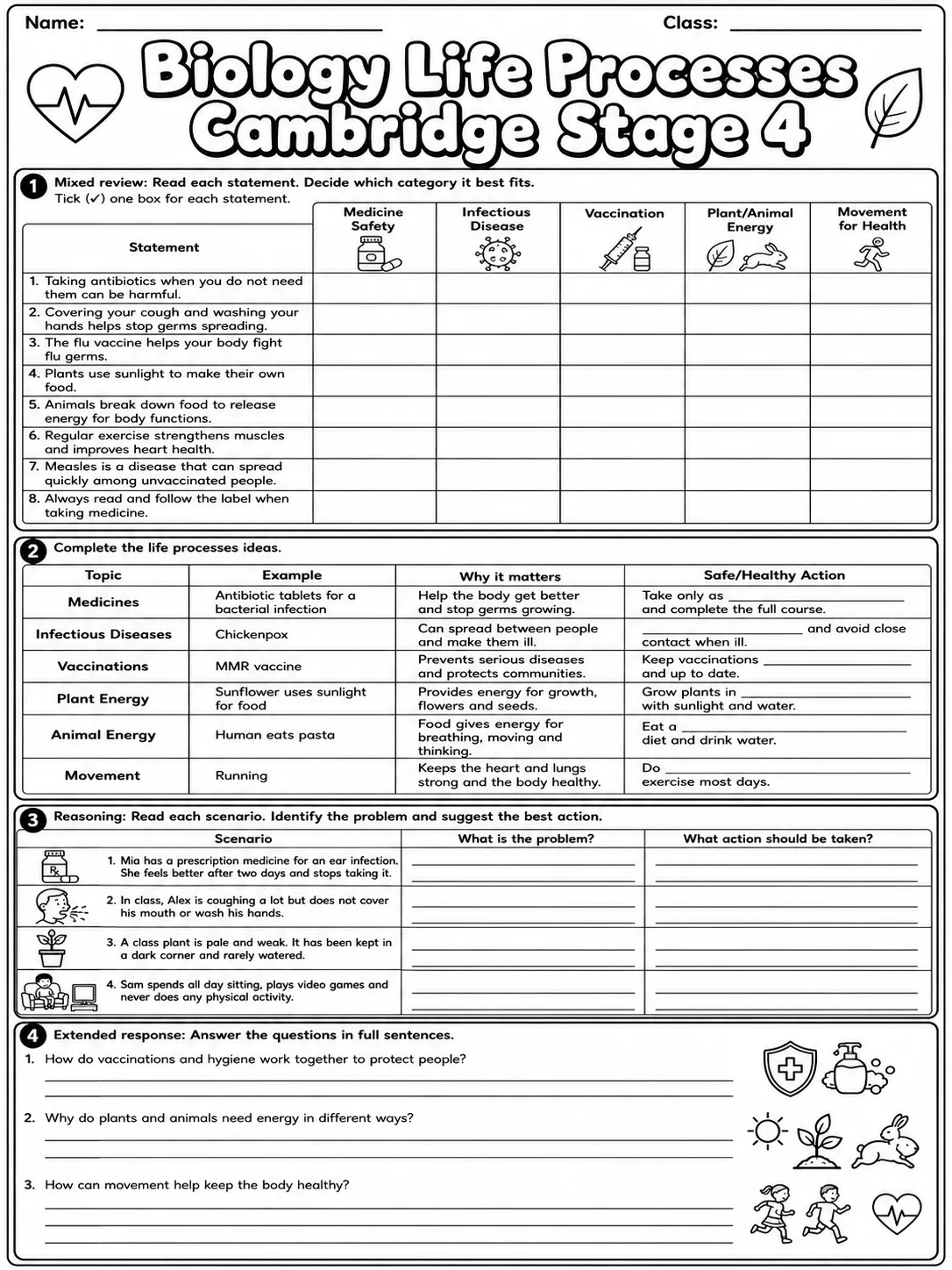 Biology Life Processes Cambridge Stage 4 page 10 printable Cambridge science worksheet preview