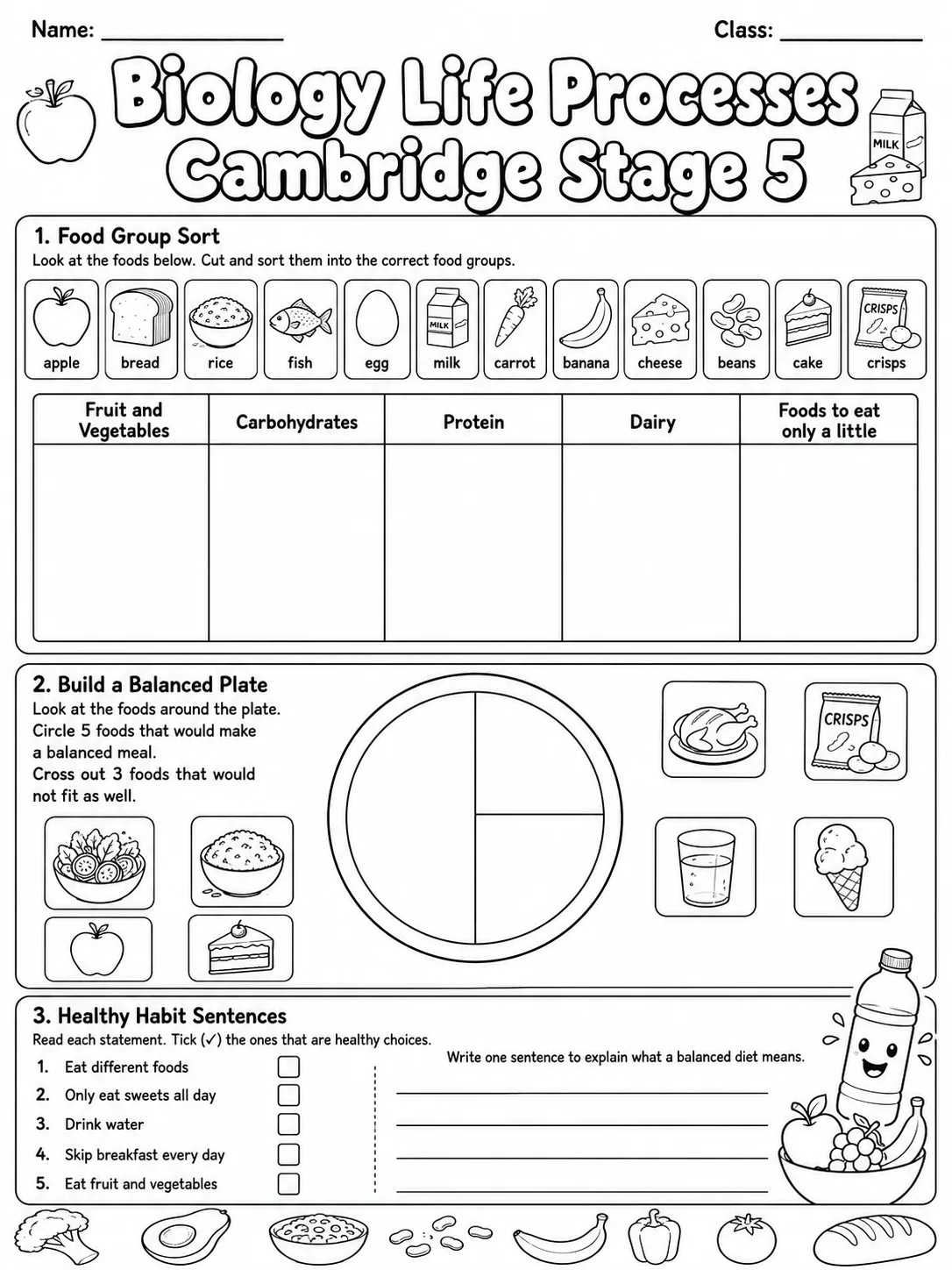 Biology Life Processes Cambridge Stage 5 printable Cambridge Primary Science Stage 5 worksheet preview from KiwiBee