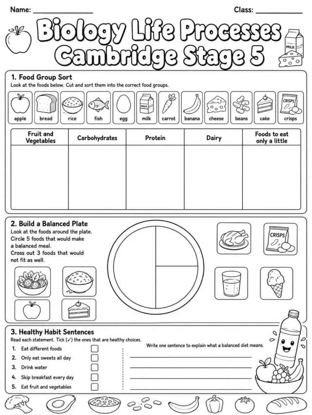 Biology Life Processes Cambridge Stage 5