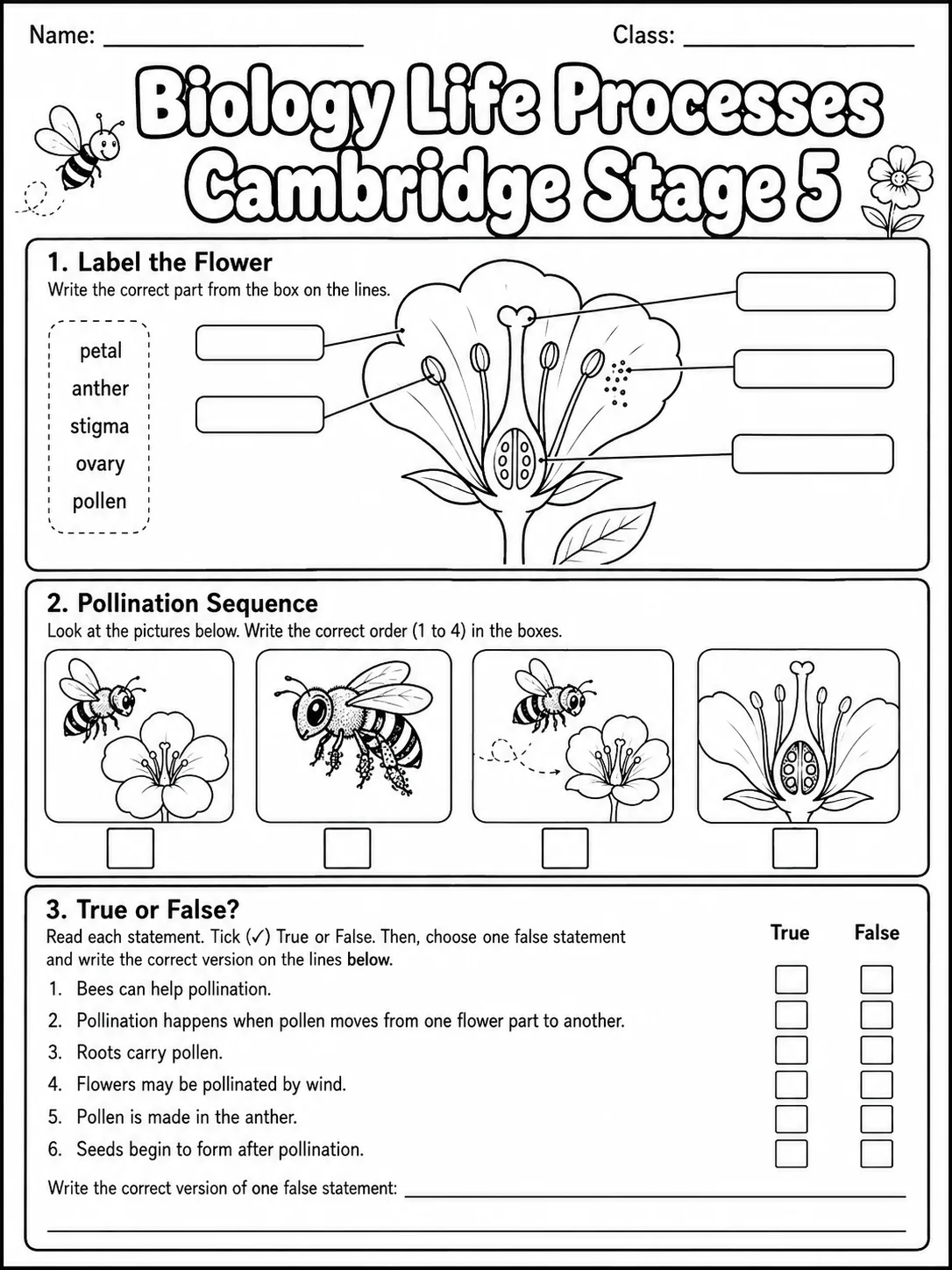 Biology Life Processes Cambridge Stage 5 page 4 printable Cambridge science worksheet preview