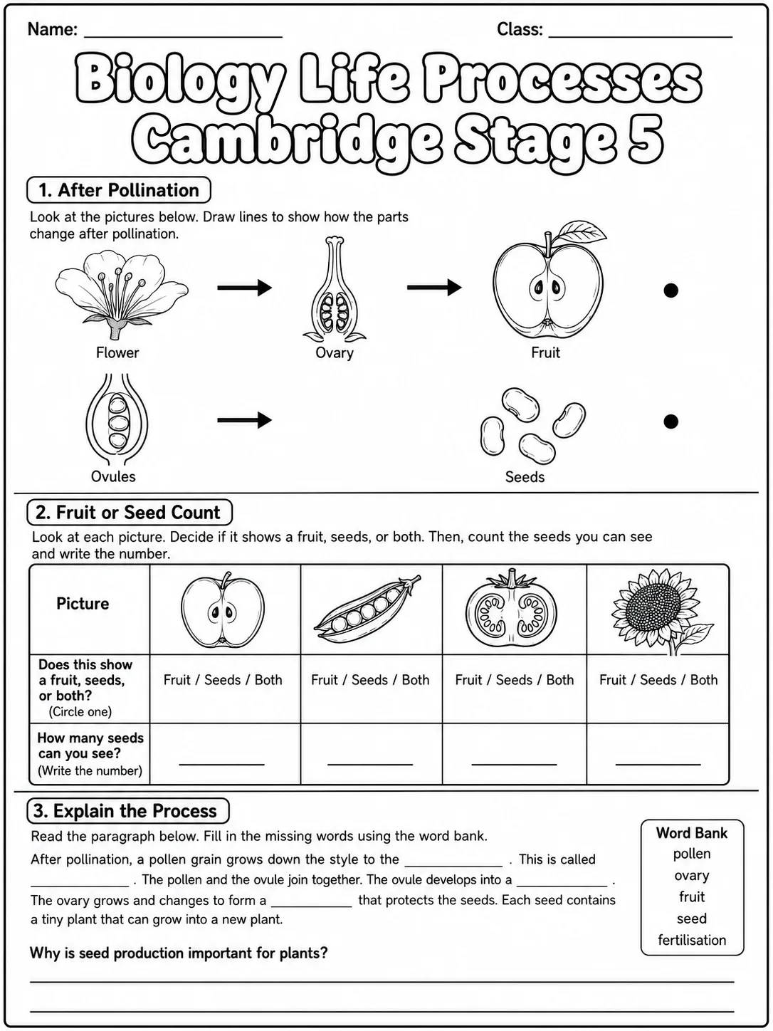 Biology Life Processes Cambridge Stage 5 page 5 printable Cambridge science worksheet preview