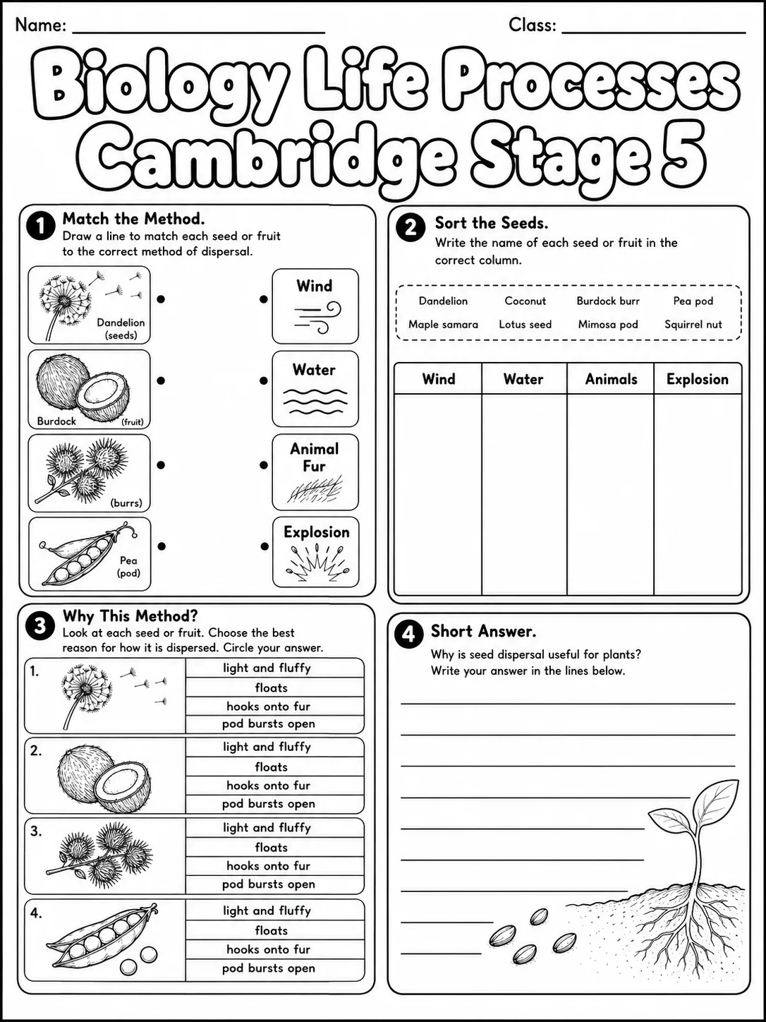 Biology Life Processes Cambridge Stage 5 page 6 printable Cambridge science worksheet preview
