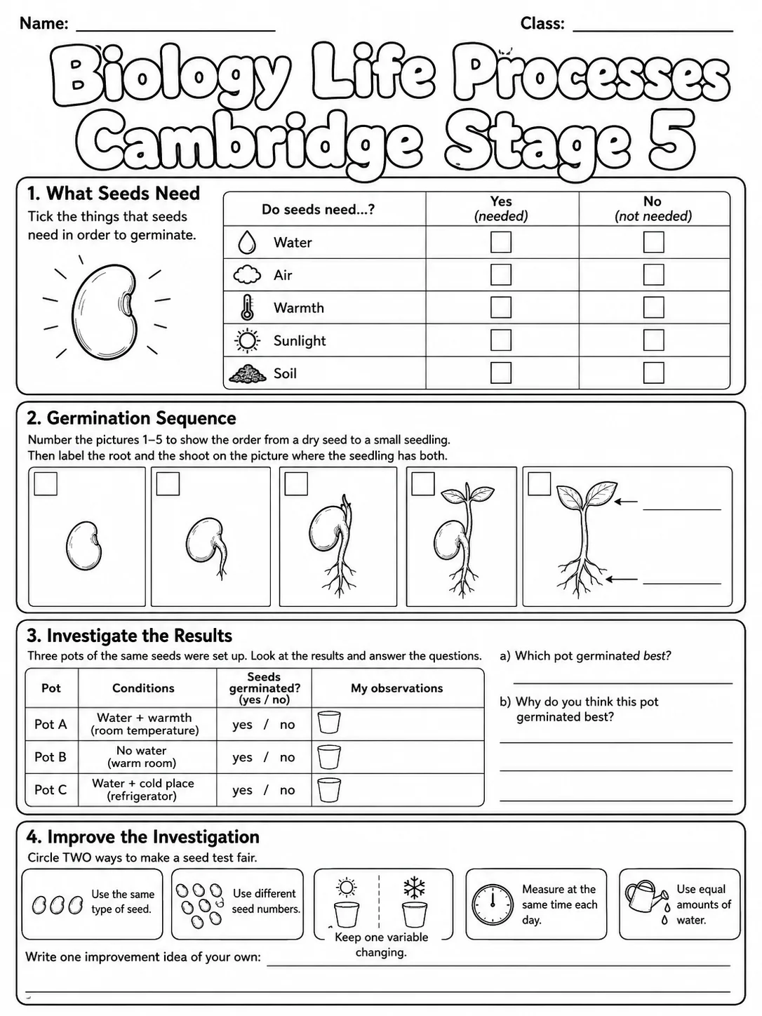 Biology Life Processes Cambridge Stage 5 page 7 printable Cambridge science worksheet preview