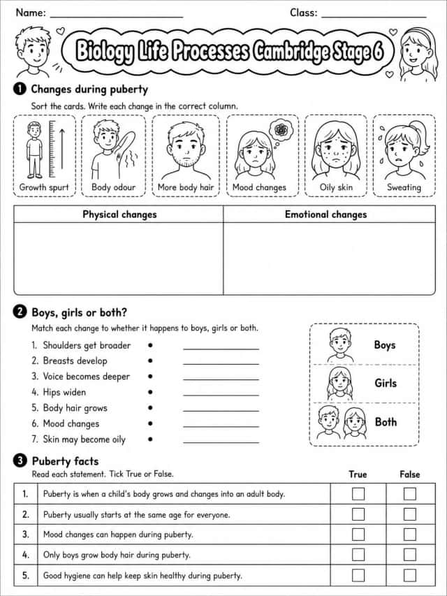 Biology Life Processes Cambridge Stage 6