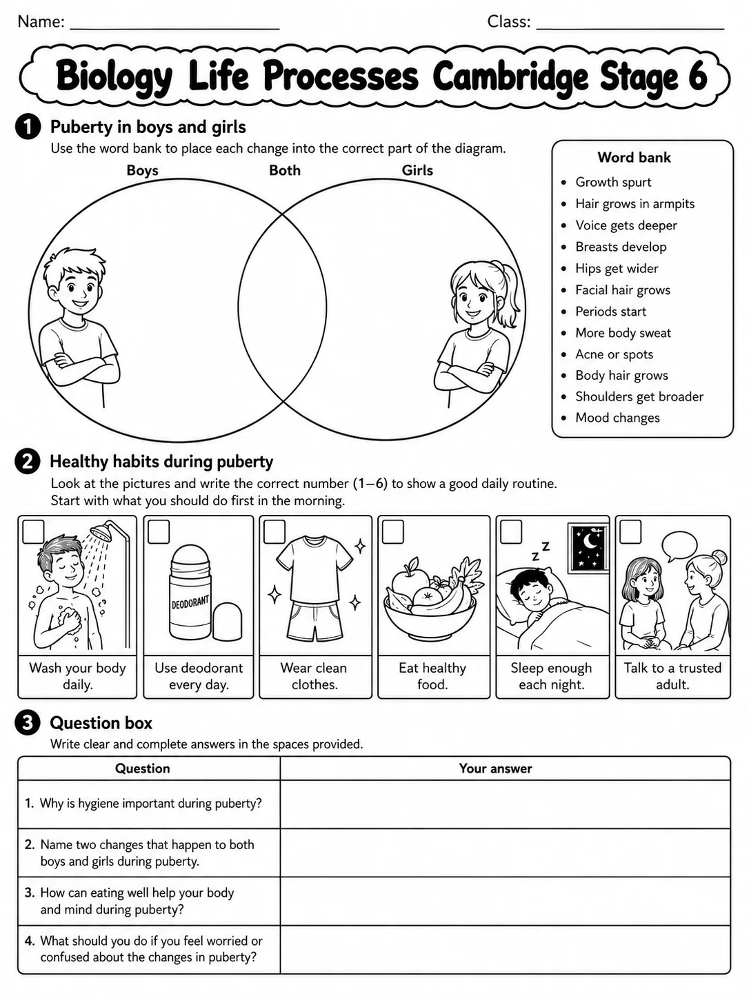 Biology Life Processes Cambridge Stage 6 page 2 printable Cambridge science worksheet preview