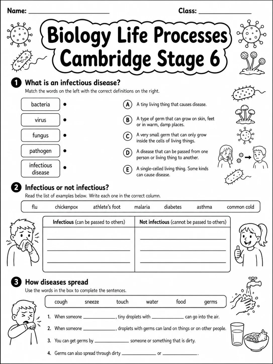 Biology Life Processes Cambridge Stage 6 page 3 printable Cambridge science worksheet preview