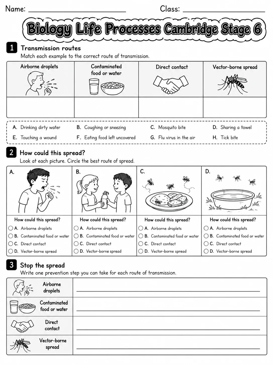 Biology Life Processes Cambridge Stage 6 page 4 printable Cambridge science worksheet preview