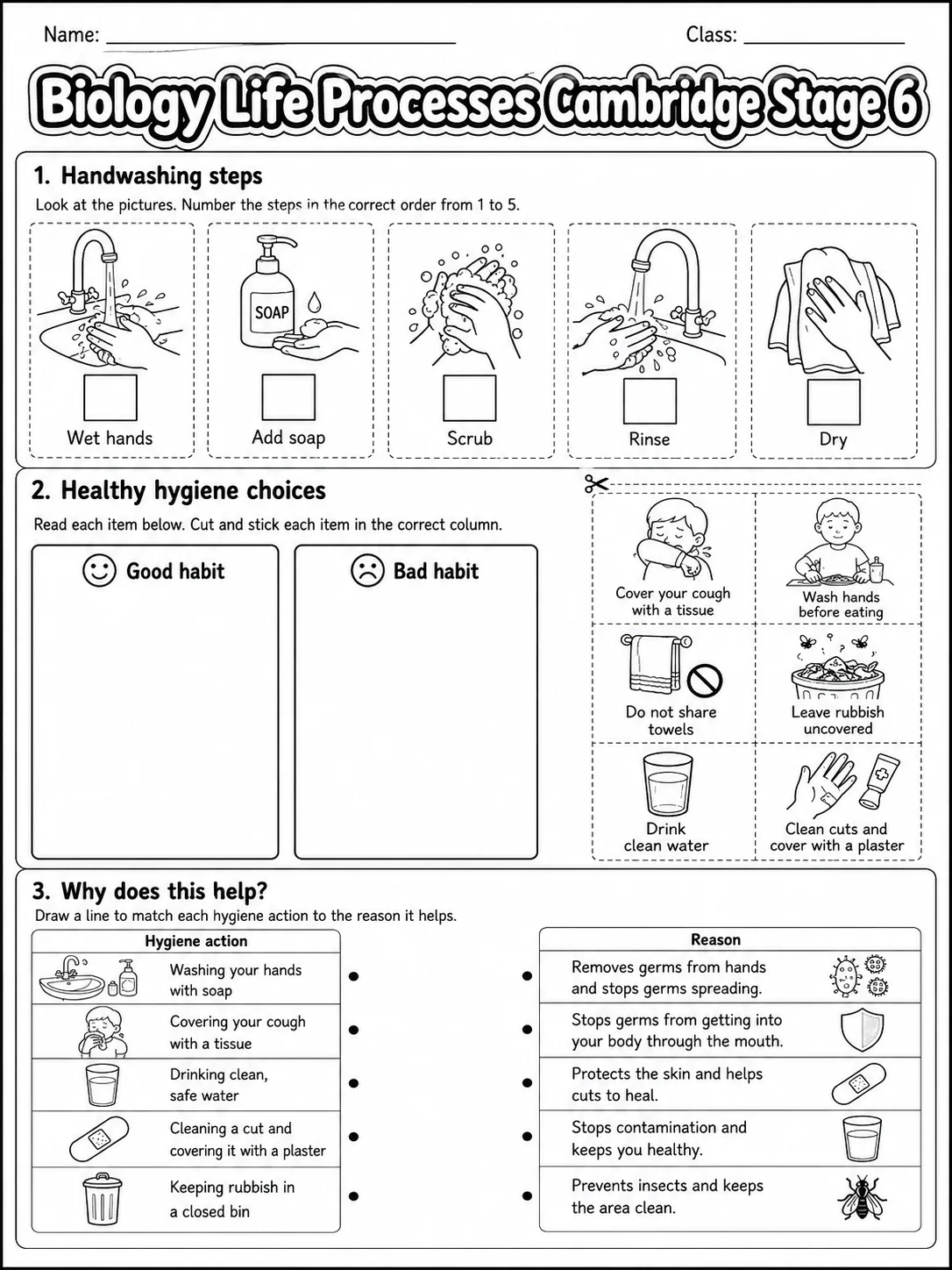Biology Life Processes Cambridge Stage 6 page 5 printable Cambridge science worksheet preview