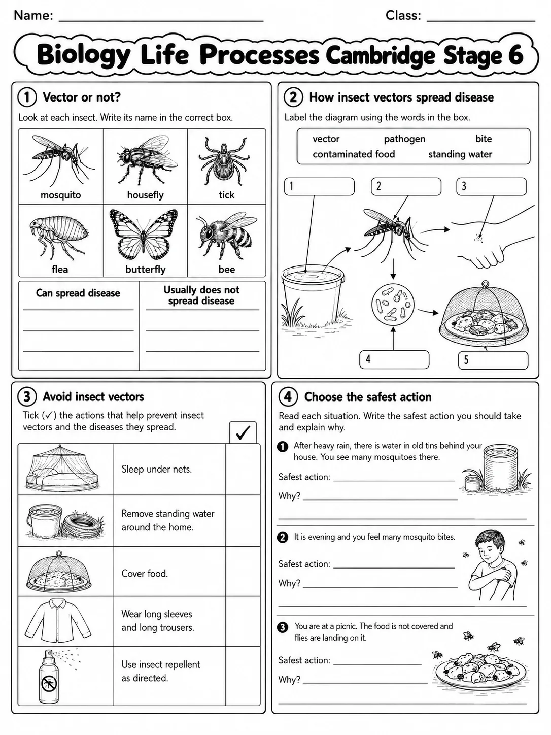 Biology Life Processes Cambridge Stage 6 page 6 printable Cambridge science worksheet preview
