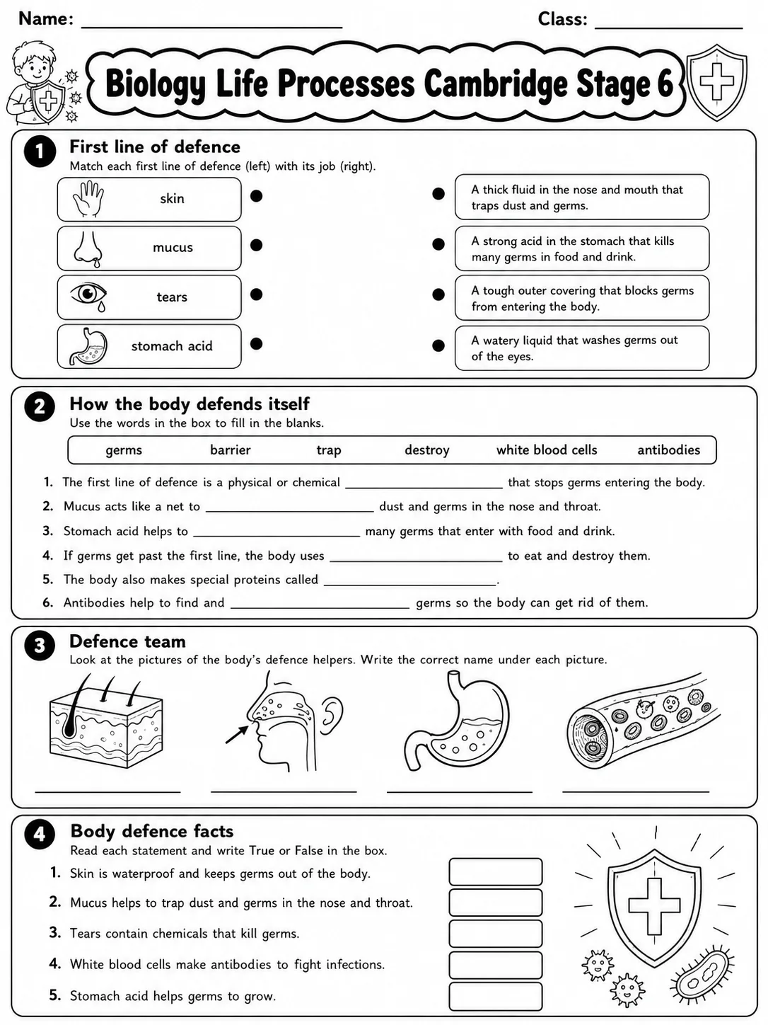 Biology Life Processes Cambridge Stage 6 page 7 printable Cambridge science worksheet preview