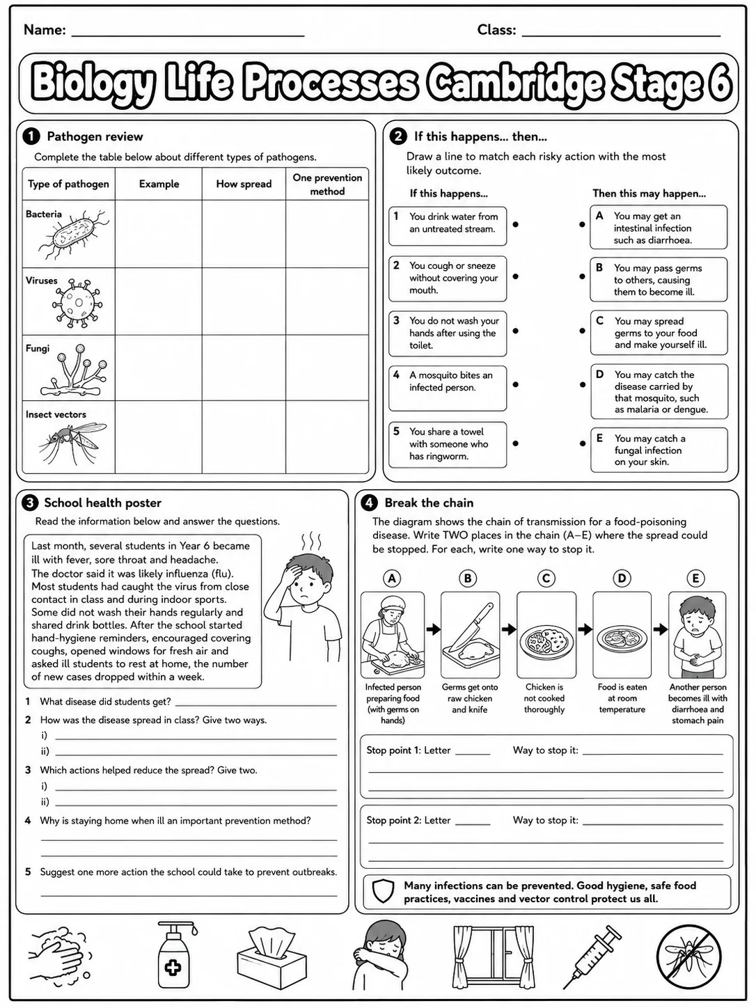 Biology Life Processes Cambridge Stage 6 page 9 printable Cambridge science worksheet preview