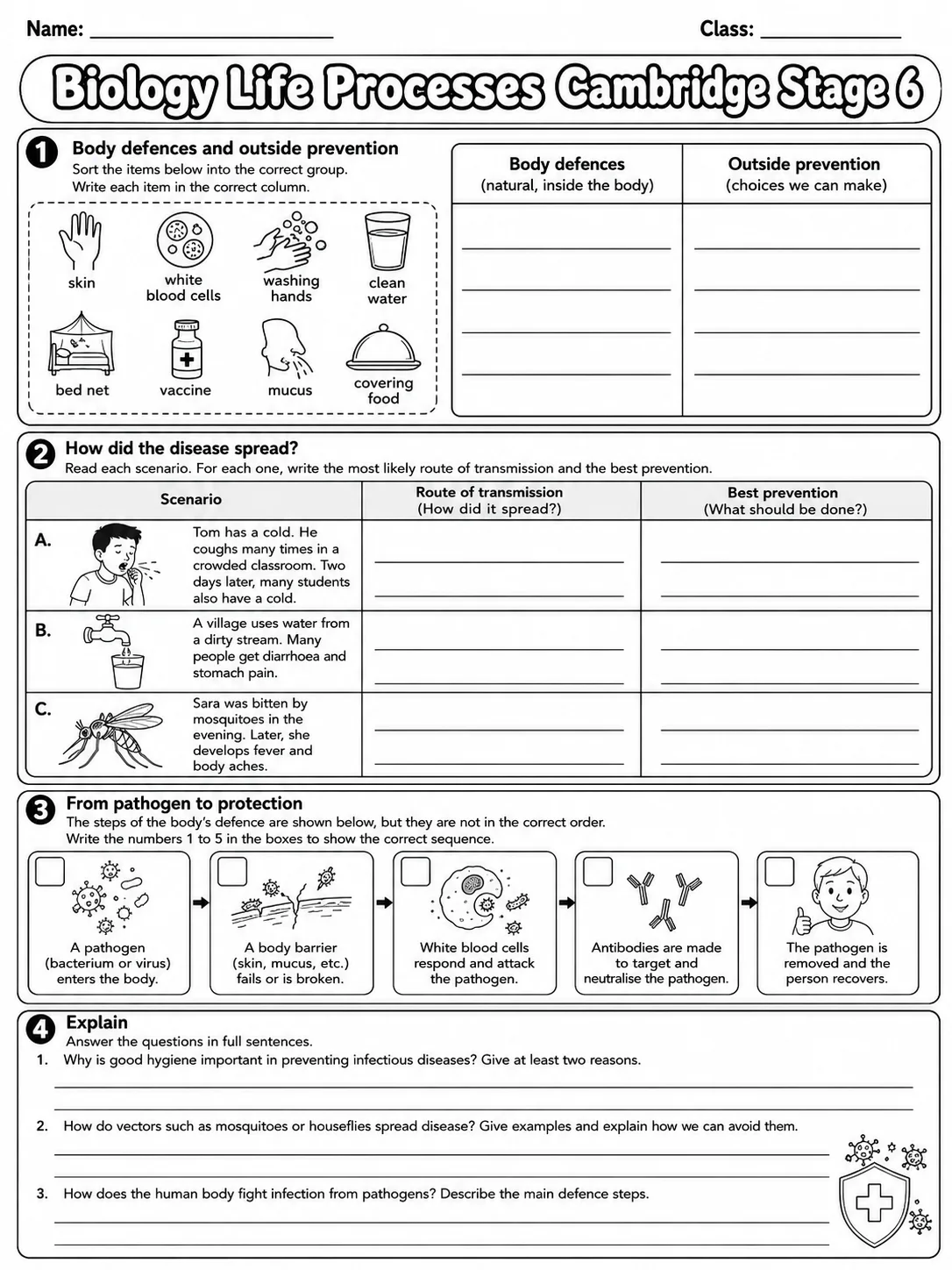 Biology Life Processes Cambridge Stage 6 page 10 printable Cambridge science worksheet preview