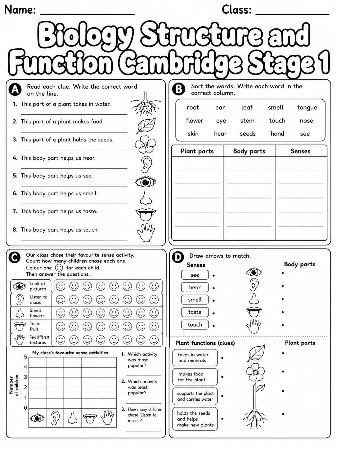 Biology Structure and Function Cambridge Stage 1 page 8 printable Cambridge science worksheet preview