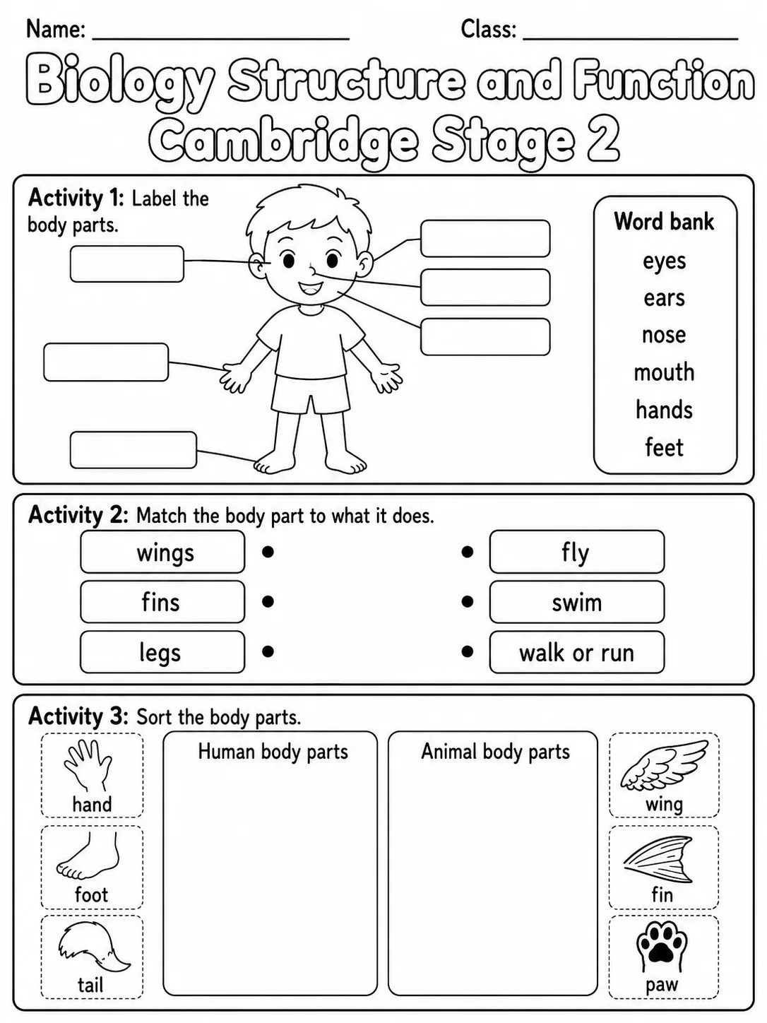 Biology Structure and Function Cambridge Stage 2 printable Cambridge Primary Science Stage 2 worksheet preview from KiwiBee