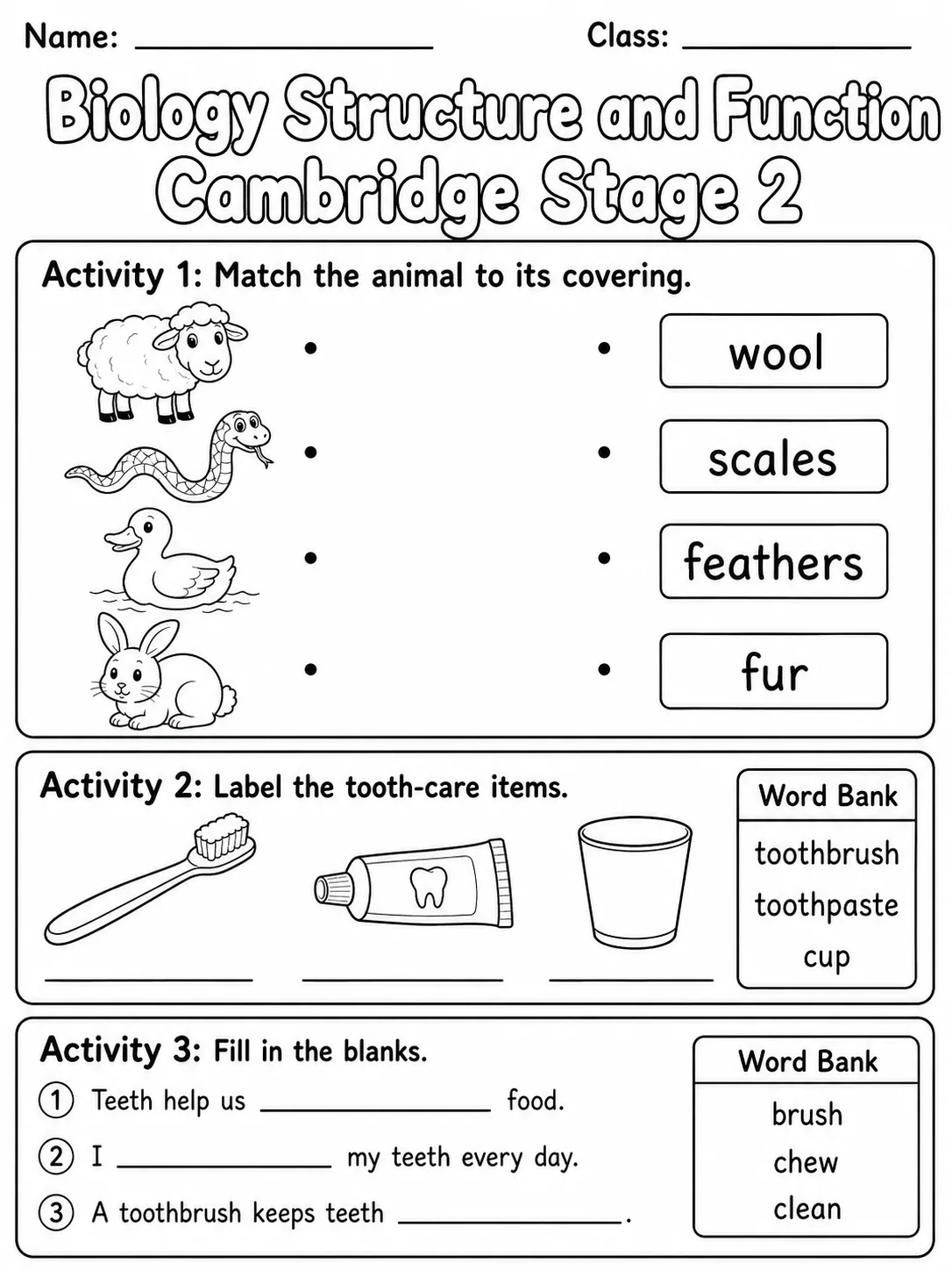 Biology Structure and Function Cambridge Stage 2 printable Cambridge Primary Science Stage 2 worksheet preview from KiwiBee