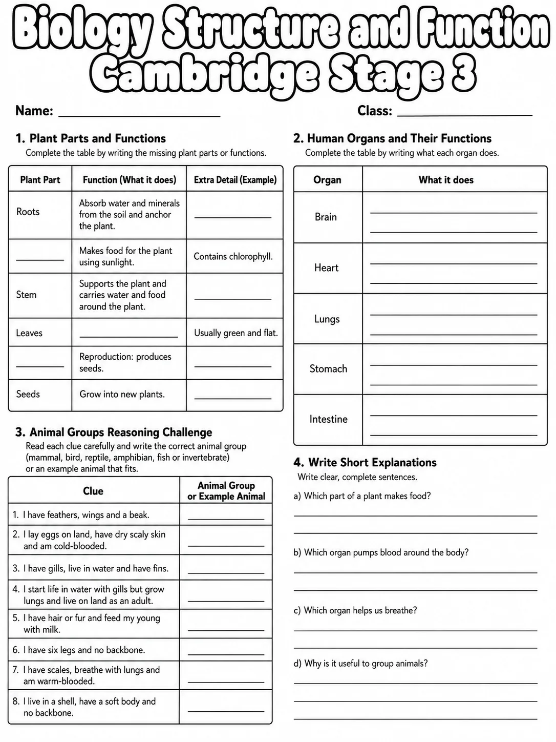Biology Structure and Function Cambridge Stage 3 page 10 printable Cambridge science worksheet preview