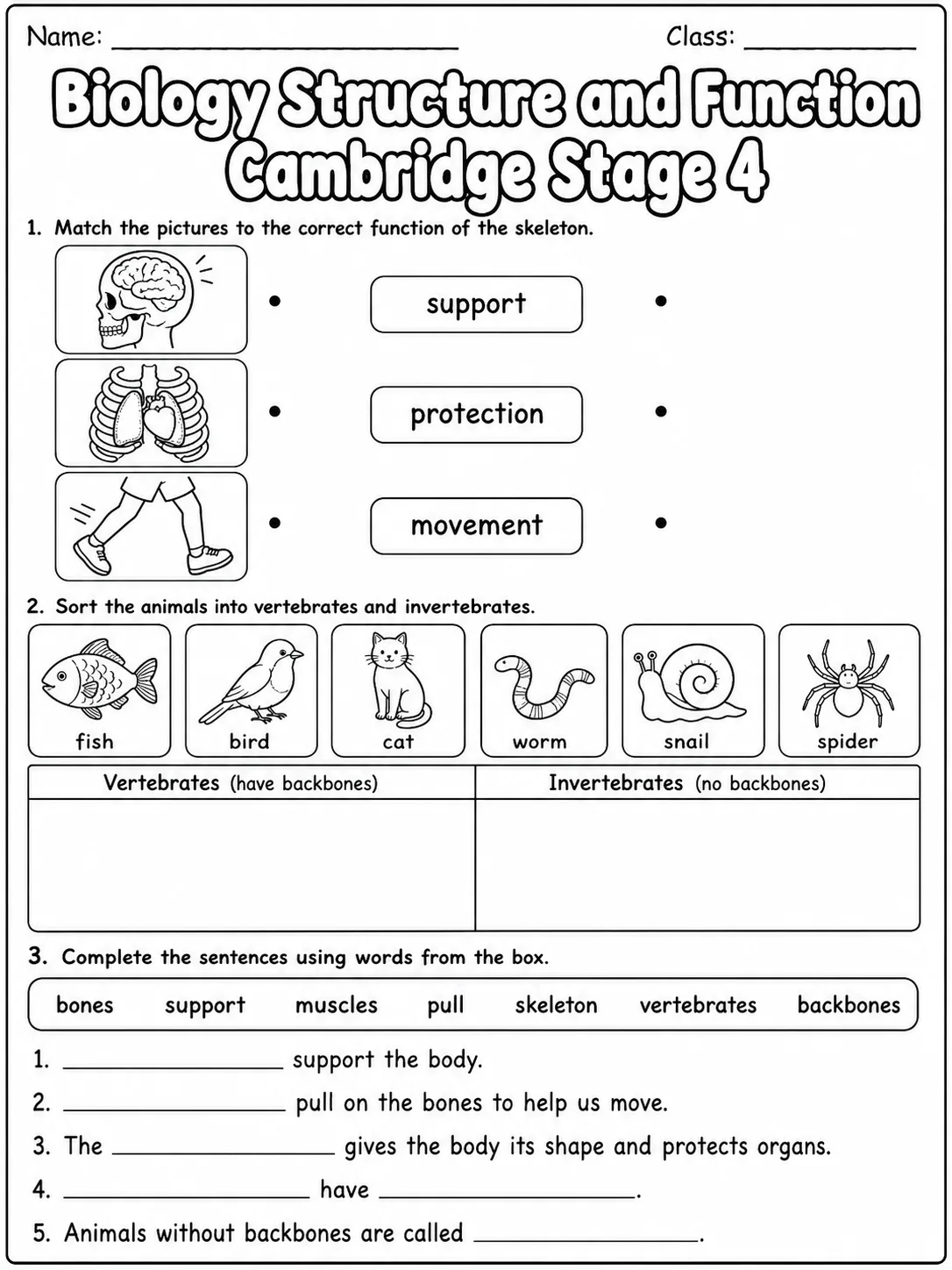 Biology Structure and Function Cambridge Stage 4 printable Cambridge Primary Science Stage 4 worksheet preview from KiwiBee