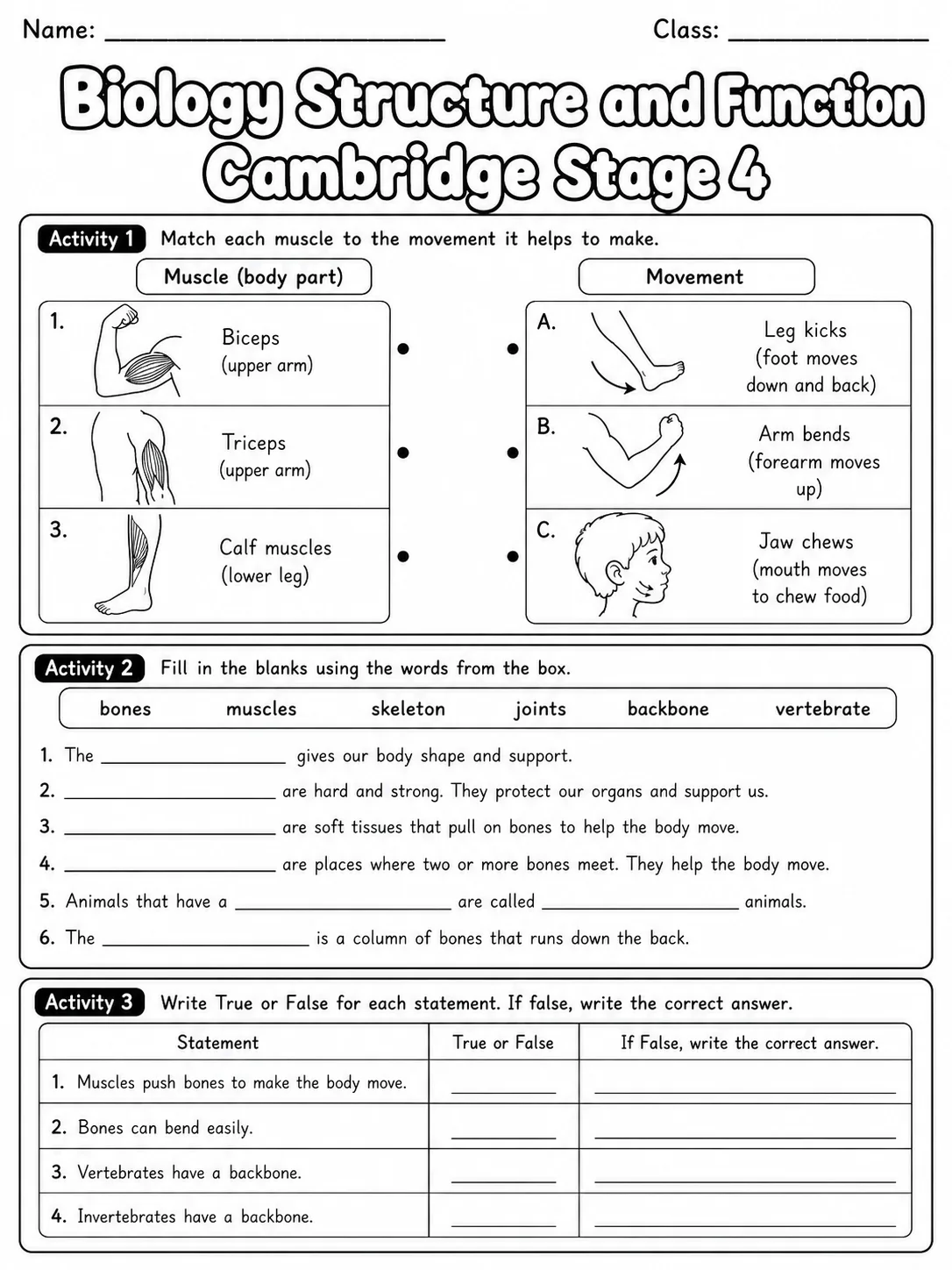 Biology Structure and Function Cambridge Stage 4 page 3 printable Cambridge science worksheet preview