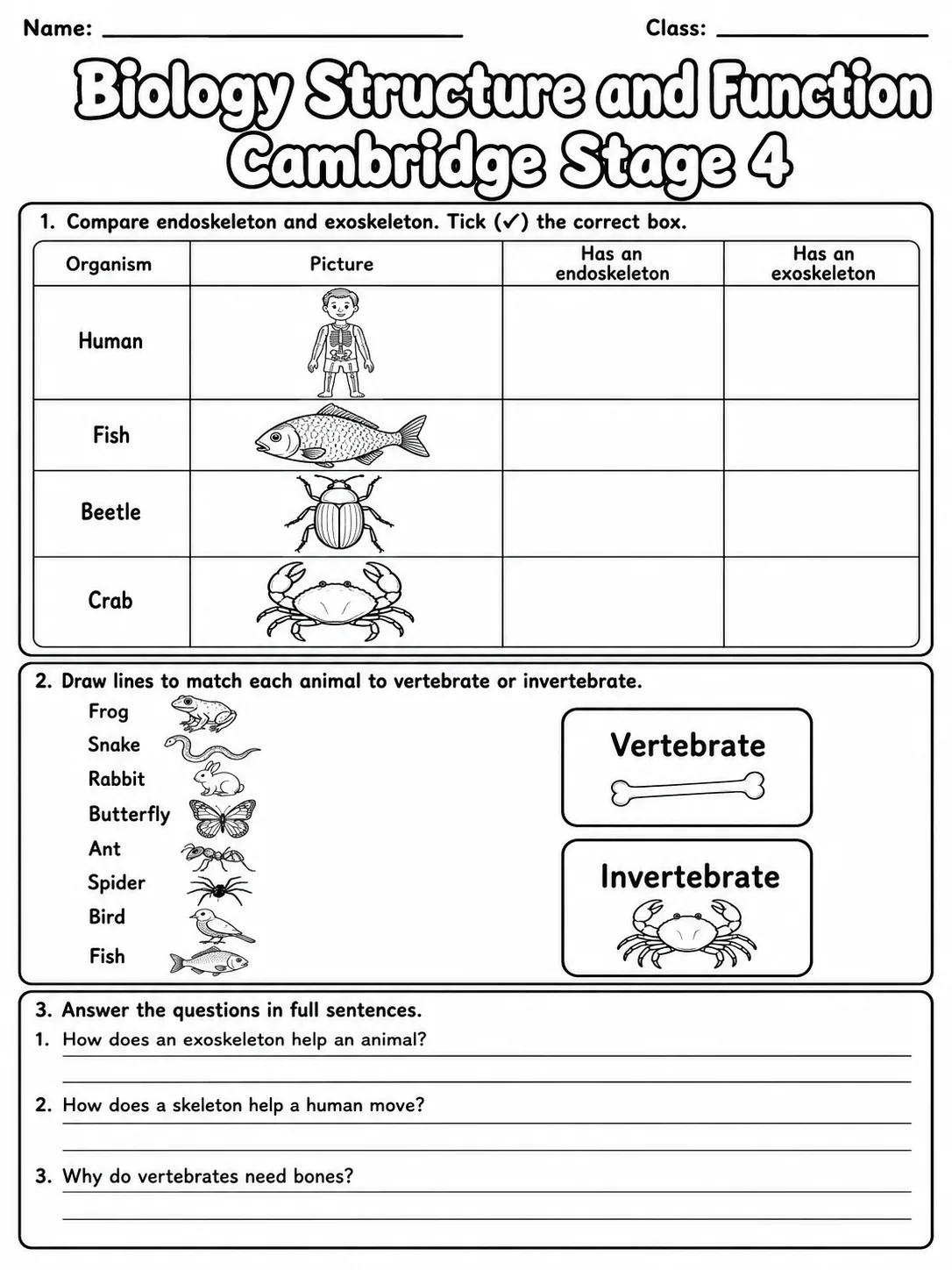 Biology Structure and Function Cambridge Stage 4 page 4 printable Cambridge science worksheet preview