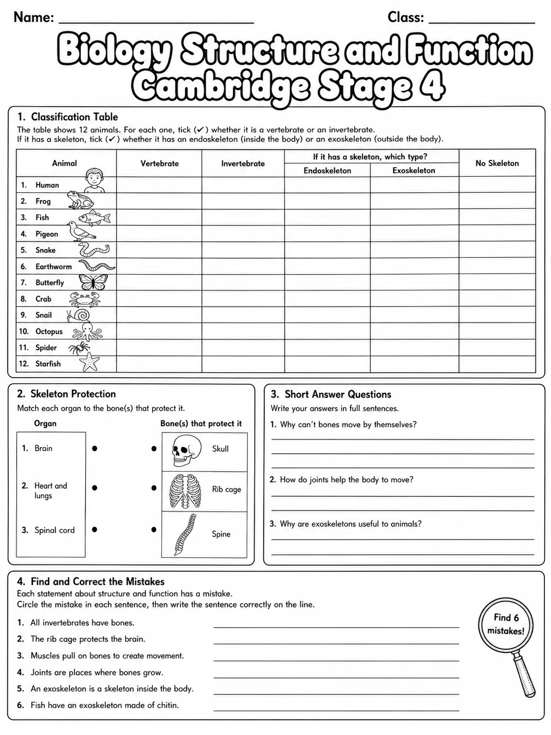 Biology Structure and Function Cambridge Stage 4 page 8 printable Cambridge science worksheet preview