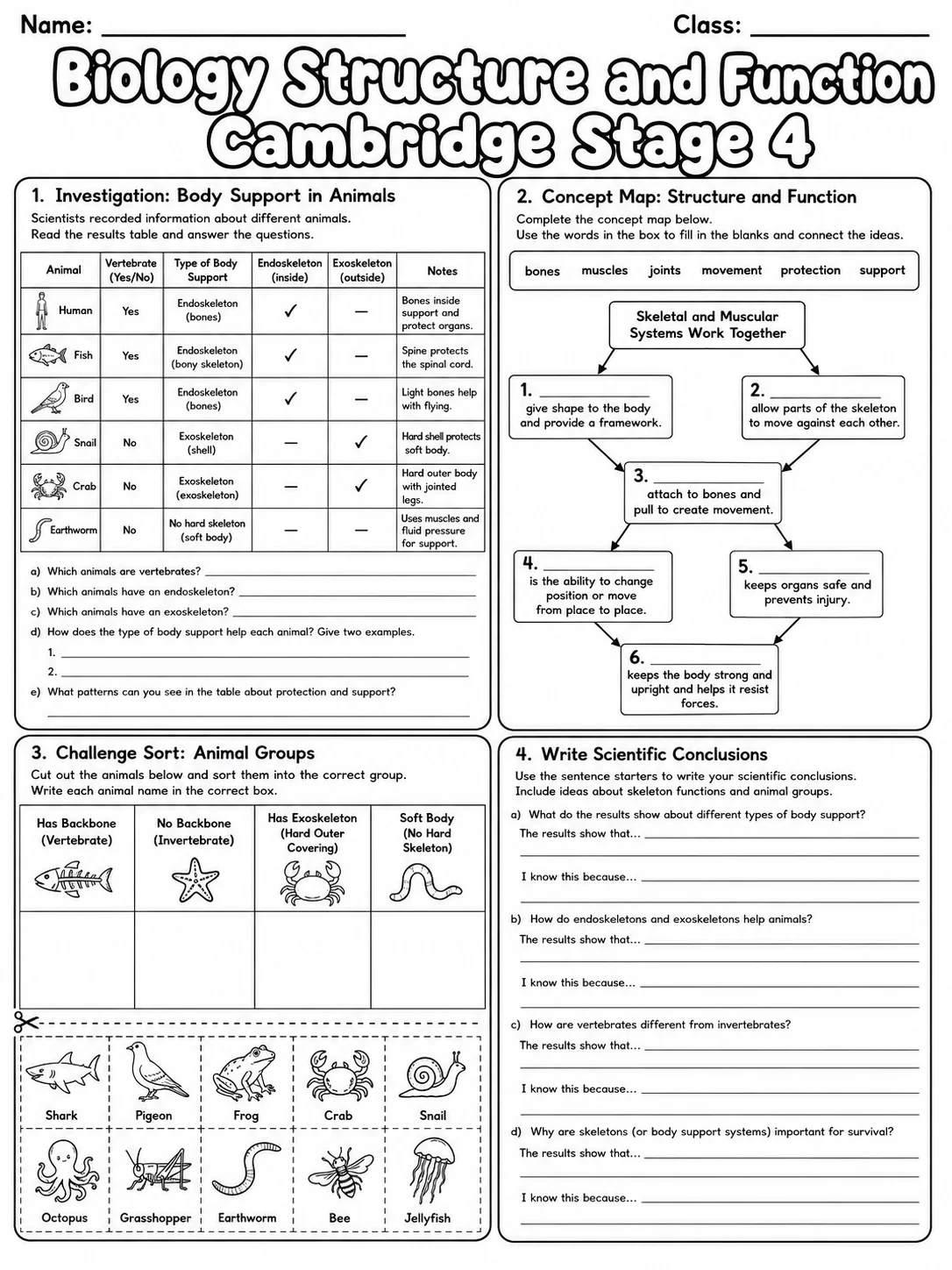 Biology Structure and Function Cambridge Stage 4 page 9 printable Cambridge science worksheet preview