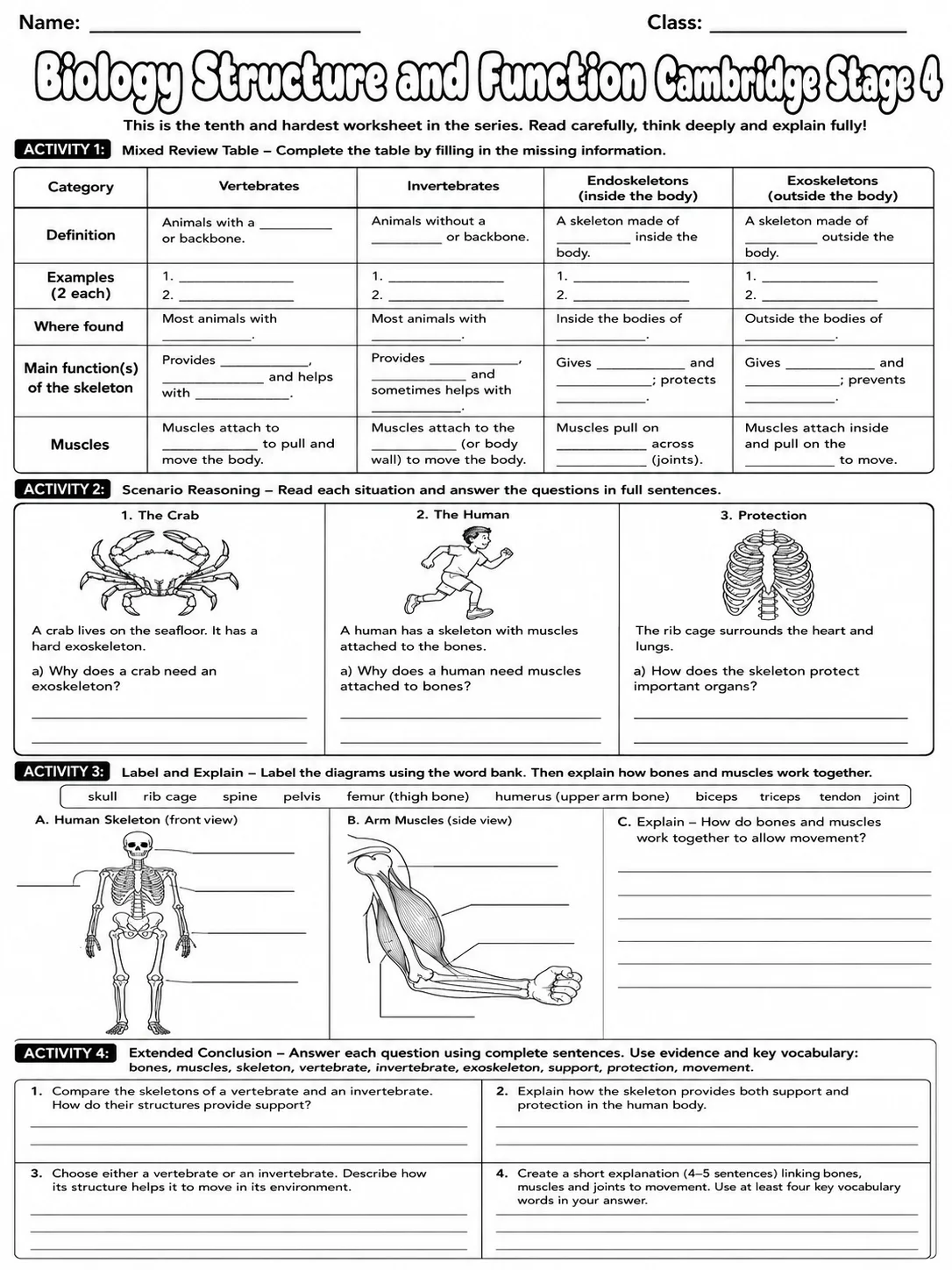 Biology Structure and Function Cambridge Stage 4 page 10 printable Cambridge science worksheet preview