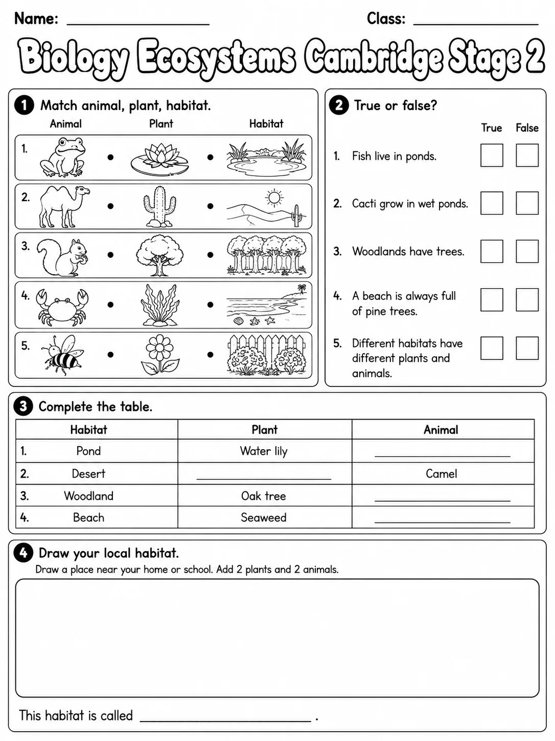 Biology Structure and Function Cambridge Stage 5 page 5 printable Cambridge science worksheet preview