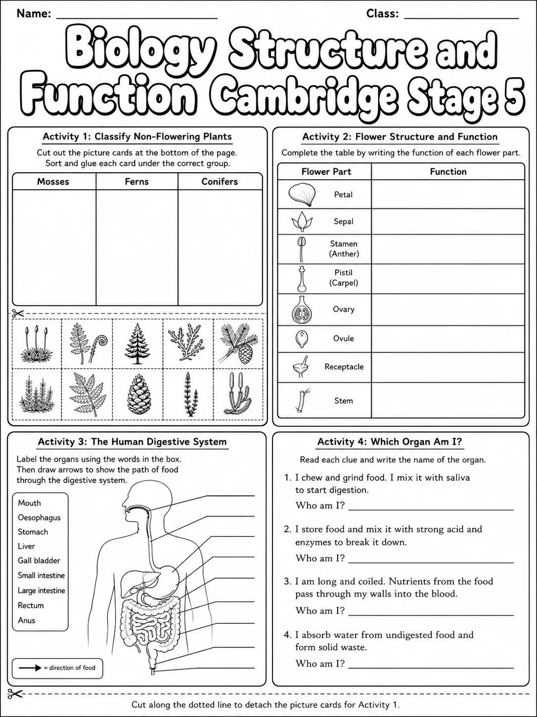 Biology Structure and Function Cambridge Stage 5 page 6 printable Cambridge science worksheet preview