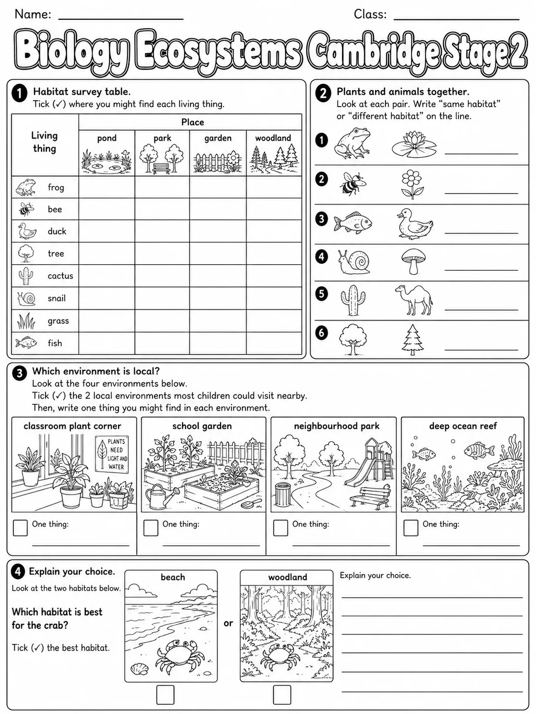 Biology Structure and Function Cambridge Stage 5 page 7 printable Cambridge science worksheet preview