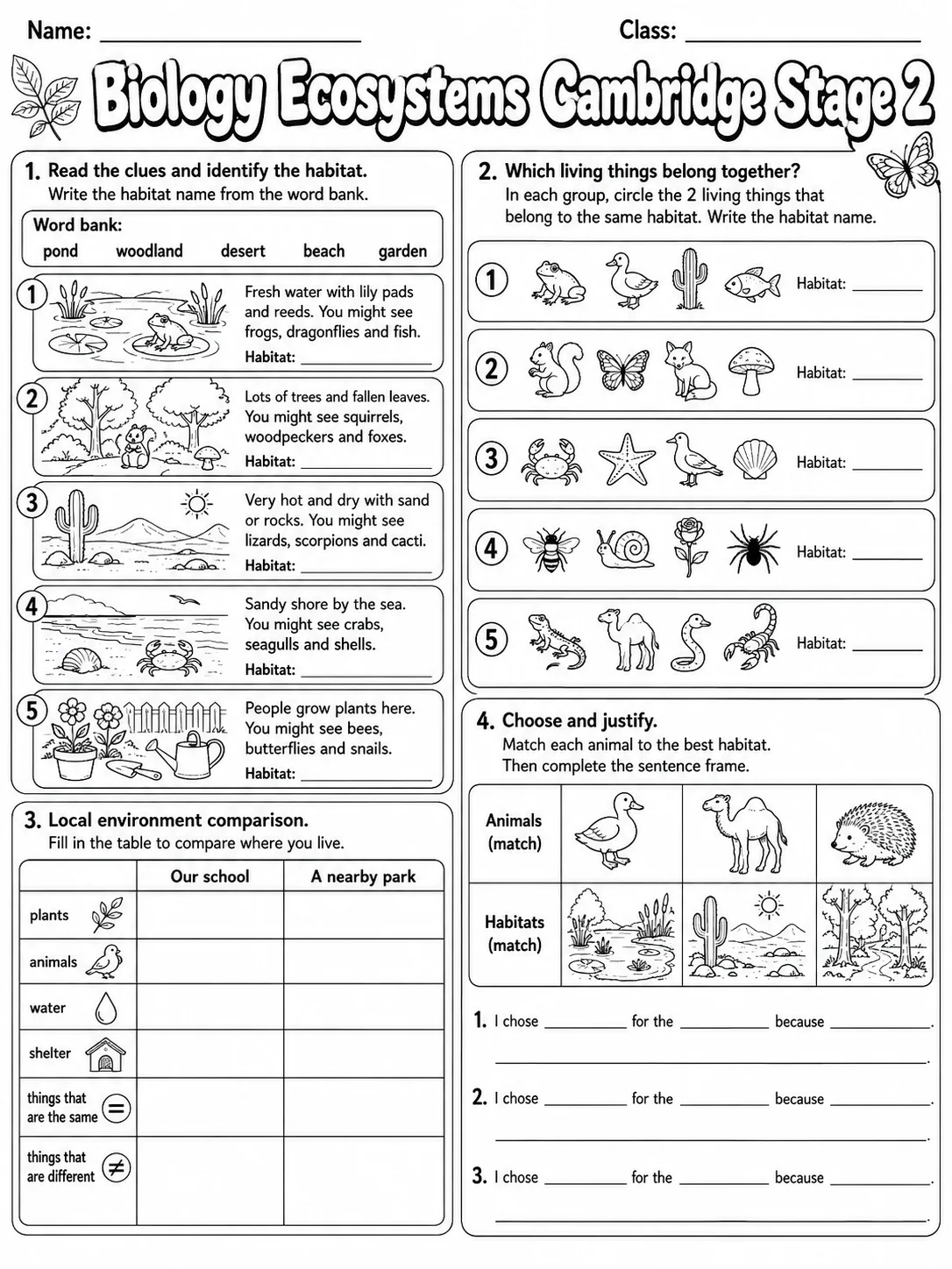 Biology Structure and Function Cambridge Stage 5 page 9 printable Cambridge science worksheet preview