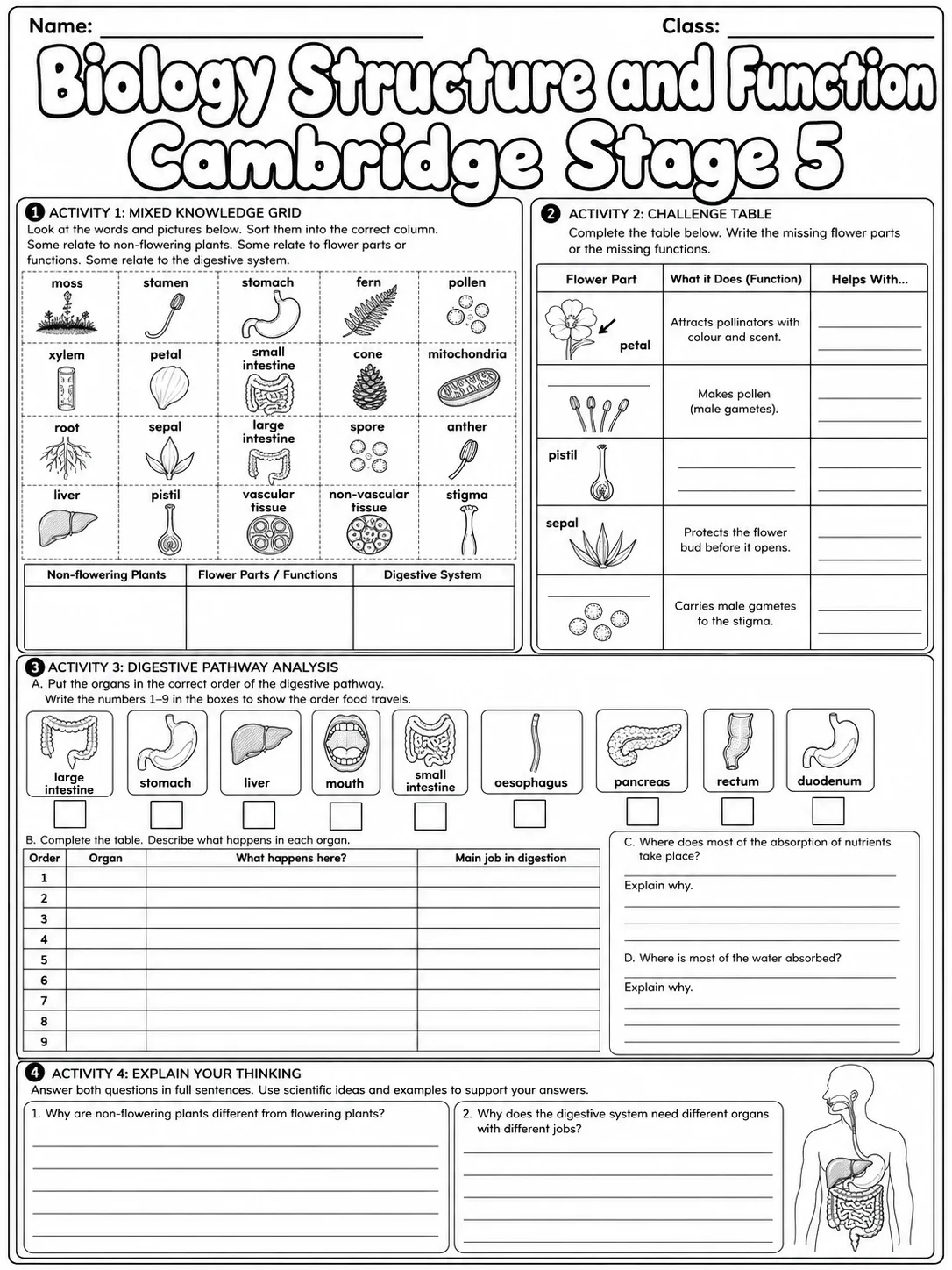 Biology Structure and Function Cambridge Stage 5 page 10 printable Cambridge science worksheet preview