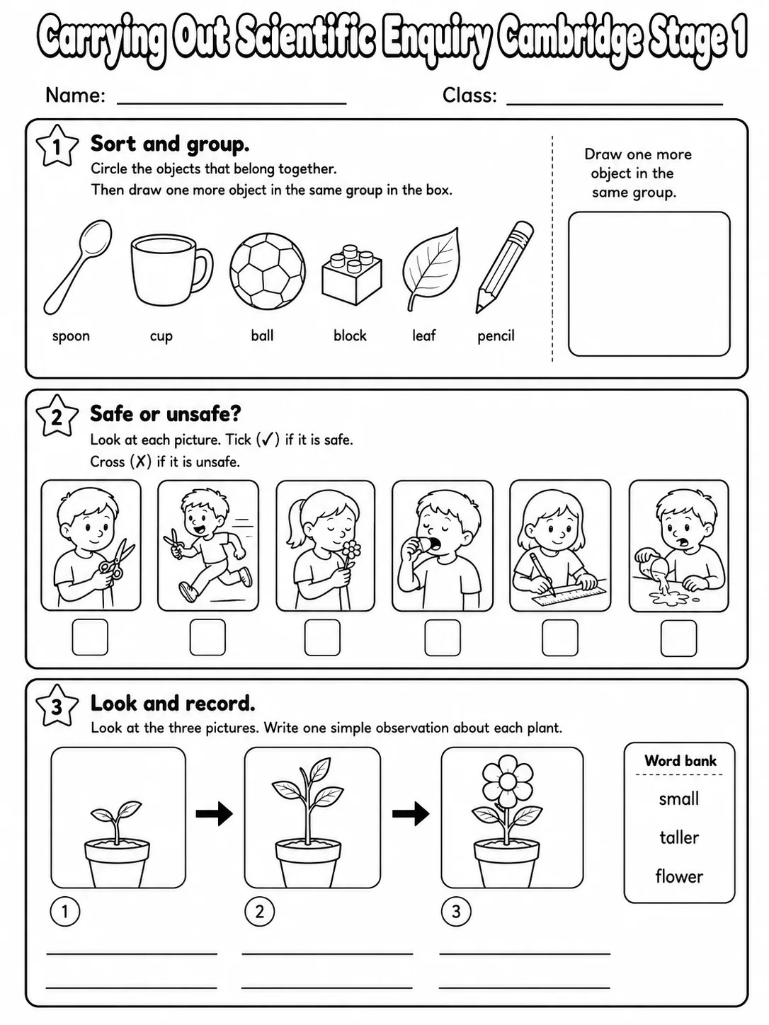 Carrying Out Scientific Enquiry Cambridge Stage 1 printable Cambridge Primary Science Stage 1 worksheet preview from KiwiBee