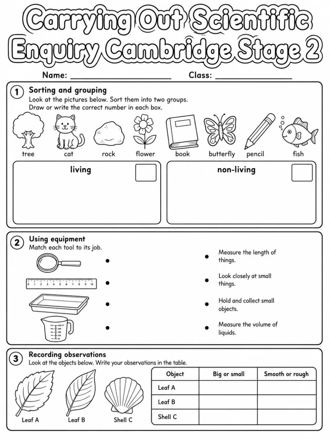 Carrying Out Scientific Enquiry Cambridge Stage 2 printable Cambridge Primary Science Stage 2 worksheet preview from KiwiBee