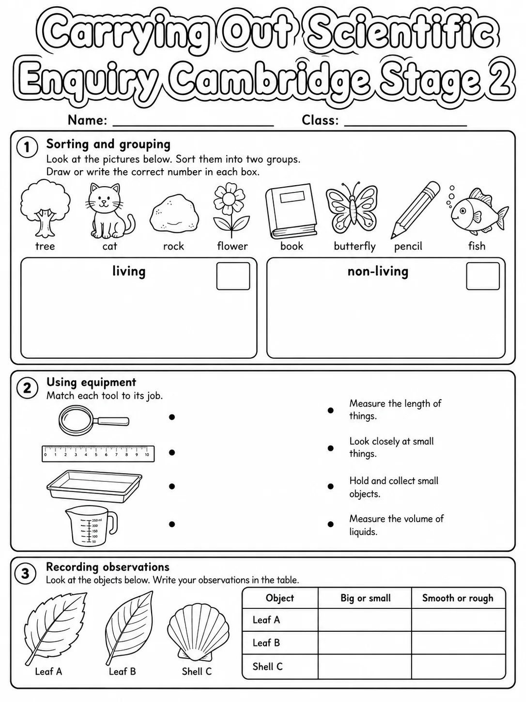 Carrying Out Scientific Enquiry Cambridge Stage 2 printable Cambridge Primary Science Stage 2 worksheet preview from KiwiBee