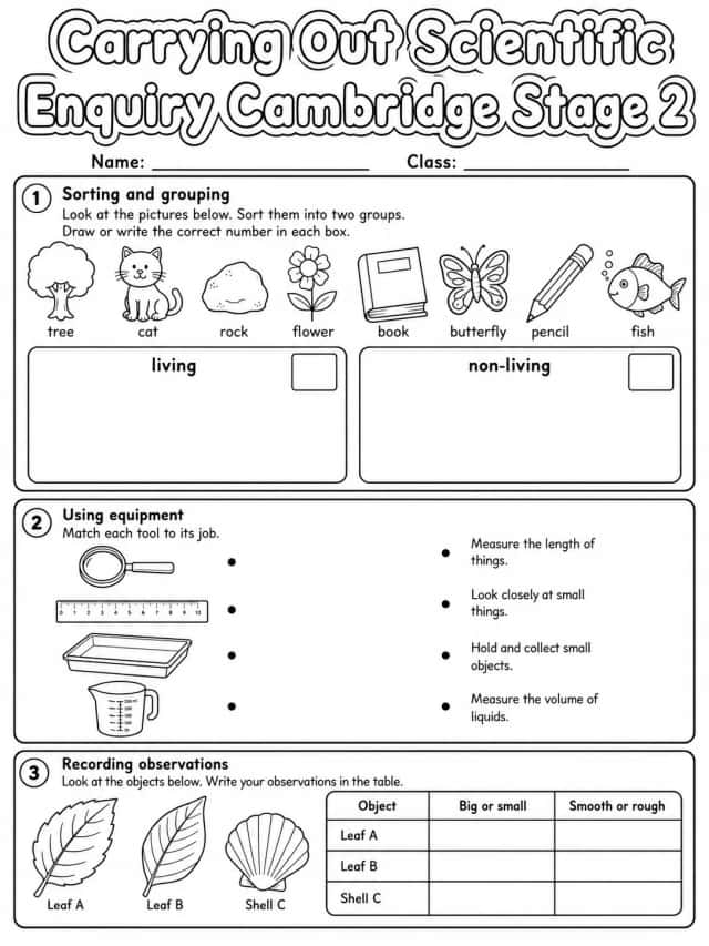Carrying Out Scientific Enquiry Cambridge Stage 2