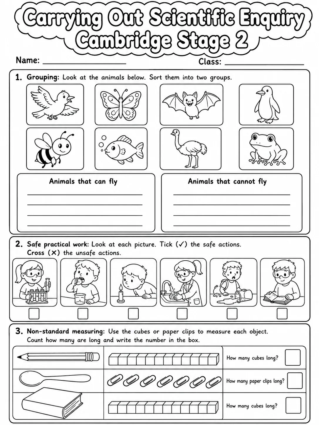 Carrying Out Scientific Enquiry Cambridge Stage 2 page 2 printable Cambridge science worksheet preview