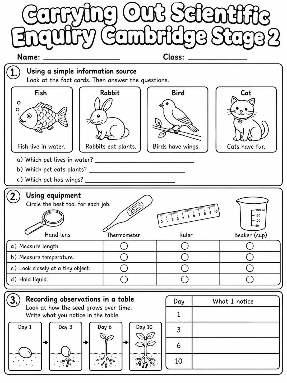 Carrying Out Scientific Enquiry Cambridge Stage 2 page 3 printable Cambridge science worksheet preview