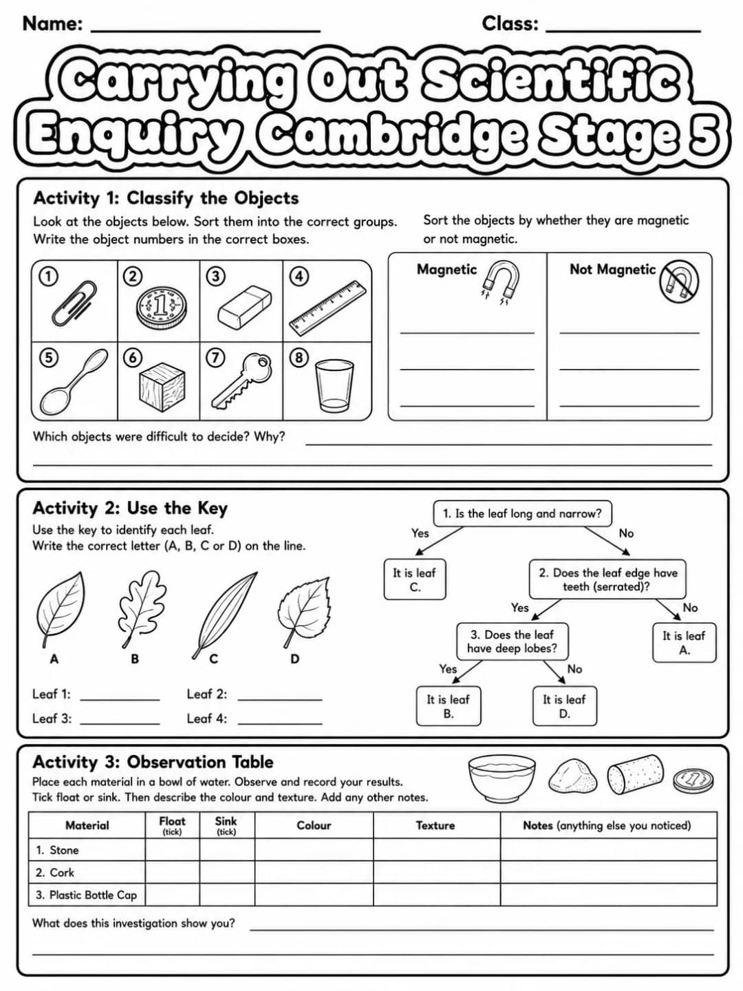 Carrying Out Scientific Enquiry Cambridge Stage 3 printable Cambridge Primary Science Stage 3 worksheet preview from KiwiBee