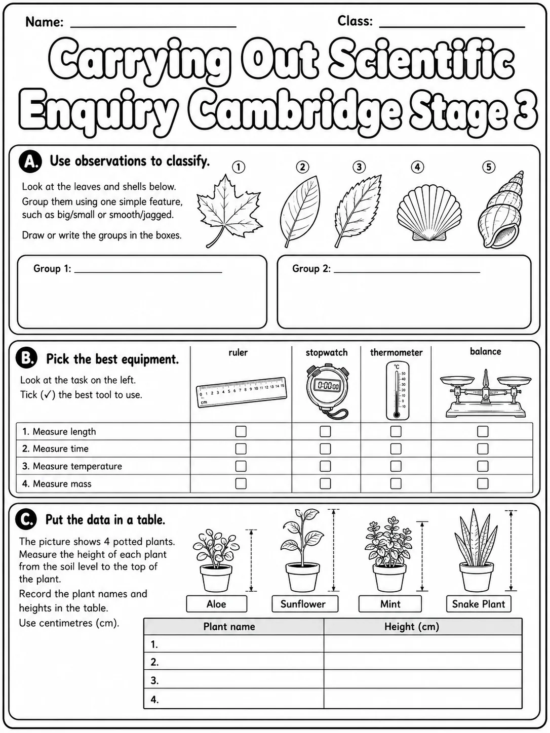 Carrying Out Scientific Enquiry Cambridge Stage 3 page 3 printable Cambridge science worksheet preview
