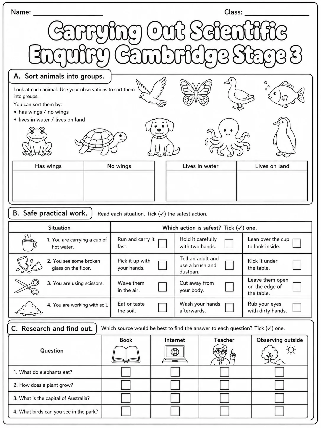Carrying Out Scientific Enquiry Cambridge Stage 3 page 4 printable Cambridge science worksheet preview